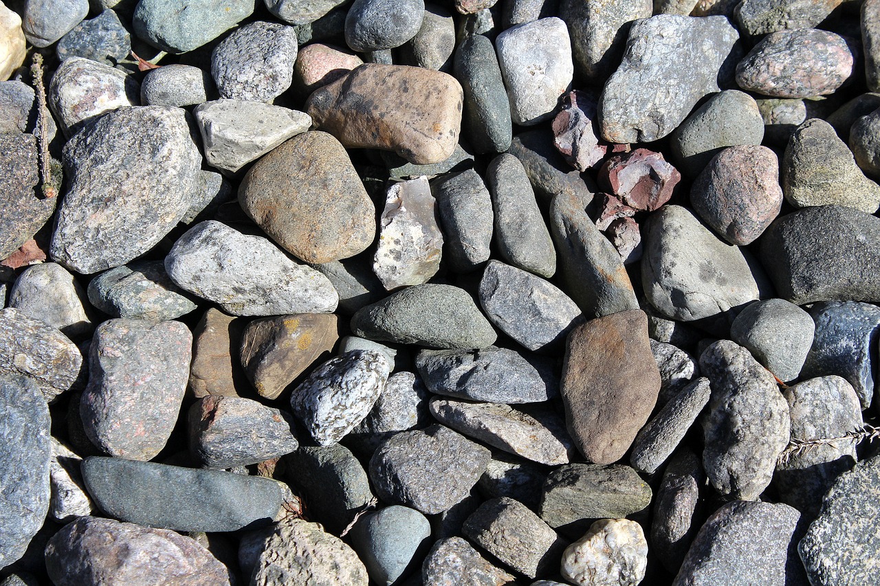 Charles Lyell: The Father of Geology
